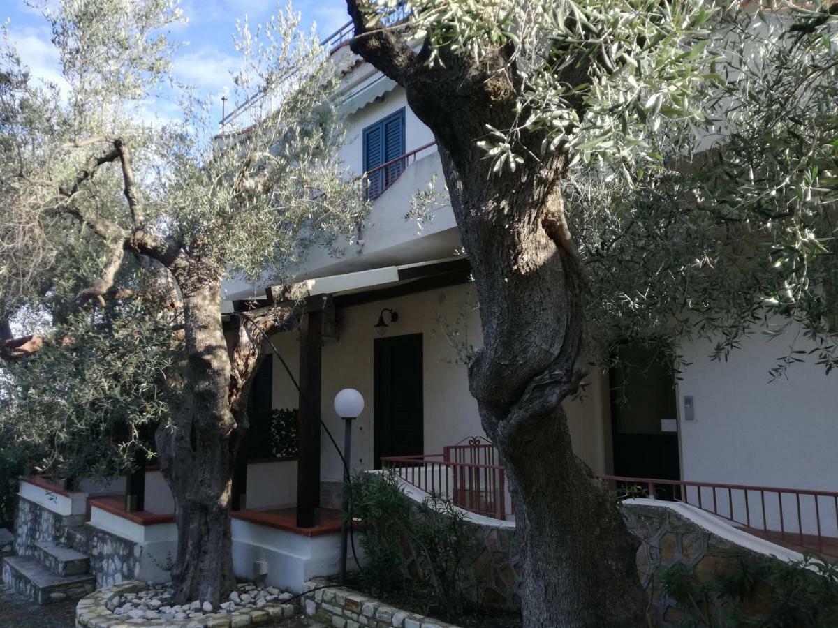Villa Anna Residence Rodi 罗迪-加尔加尼科 外观 照片